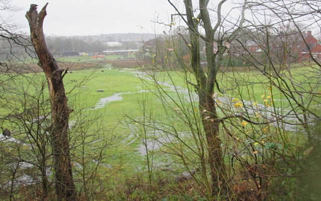 The extent of flooding on the application site