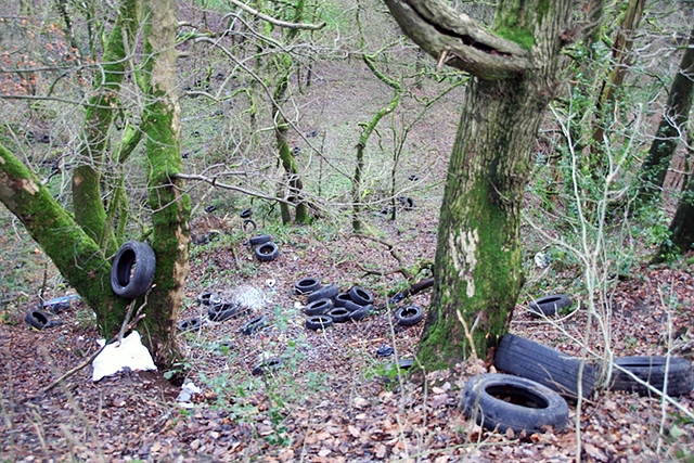 Stronger action needed to combat scourge of fly-tipping