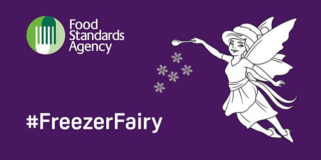 Food Standards Agency Freezer Fairy