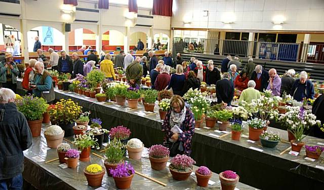 Alpine flower show, 11.30am - 3.30pm, The Riverside, Whitworth Civic Hall