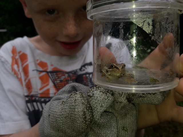 Taking a closer look at a frog with the magnifying pots