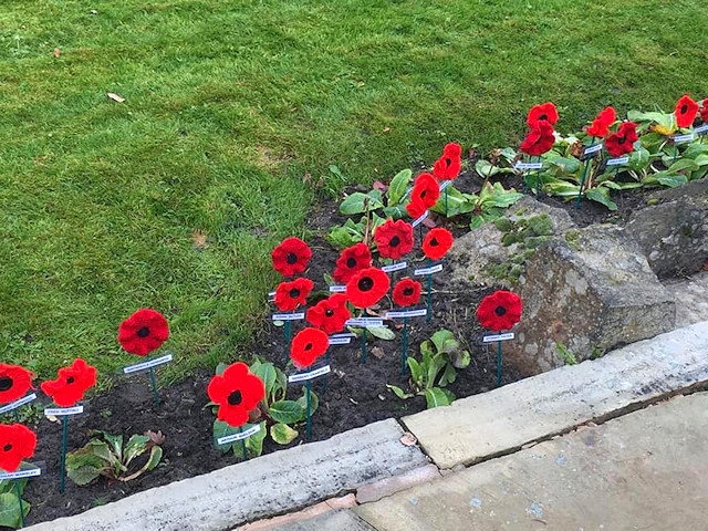 The knitted poppies at the Norden Cenotaph