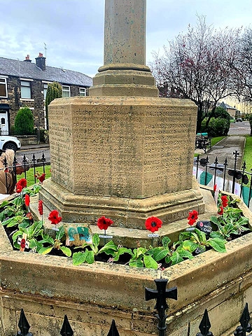 The knitted poppies at the Norden Cenotaph