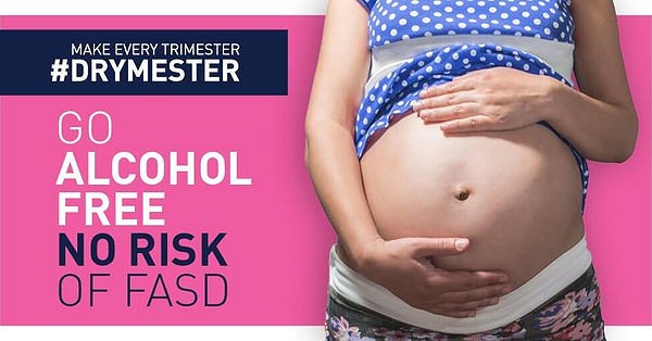 DRYMESTER - For anyone who is pregnant or planning a pregnancy, the safest approach is to go alcohol free