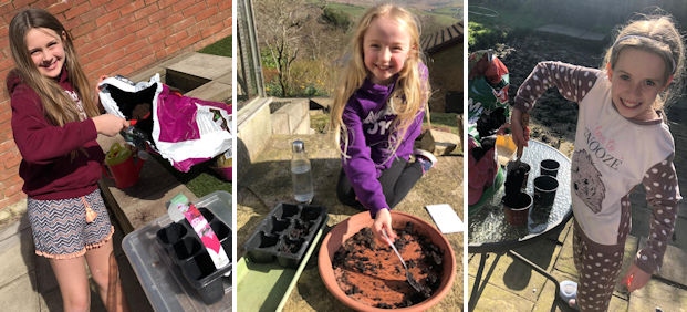 Charlotte Garcka, Summer Hoyle and Annabel Crooks all planting their sunflowers