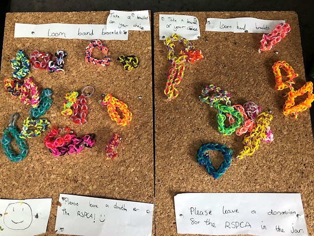 The loombands made by Grace and Freya for sale outside their house
