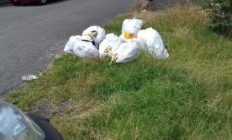 John Tunney, 49, of Rochdale, pleaded guilty to fly-tipping bags of waste to the rear of Belfield Lane