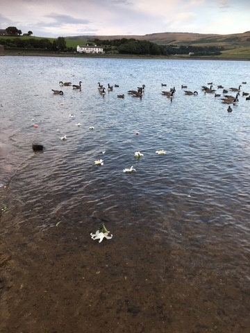 The group cast white flowers into the lake in memory of those who jumped into the river in a vain bid to ease their radiation burns