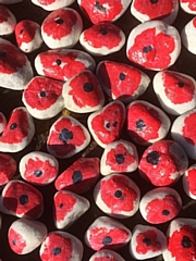 Poppy pathway created by pupils in the grounds at Broadfield Community School in commemoration of last year’s Remembrance Day