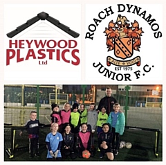 Roach Dynamos Pink U9s have been sponsored by Heywood Plastics