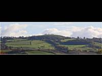 Ed Whitaker - Hill Monument And Trees