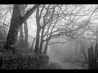 Tom Hopkins - Foggy Lane