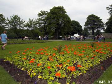 Beautiful Queen's Park Gardens