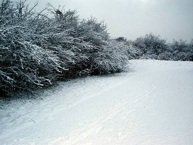 Snow scenes in Kingsway.