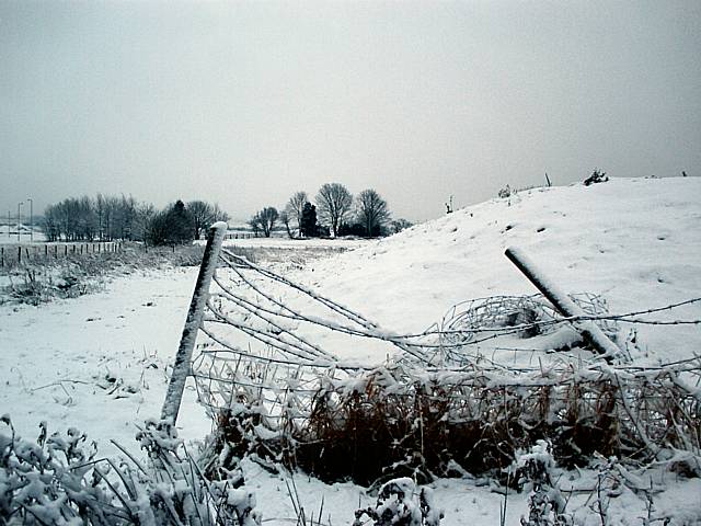 Snow scenes in Kingsway.