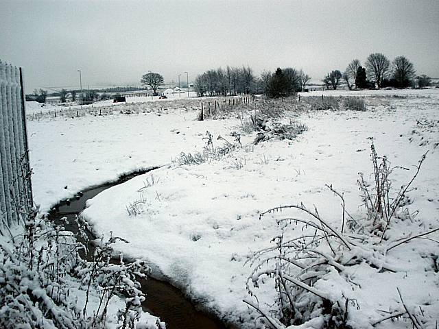 Snow scenes in Kingsway.