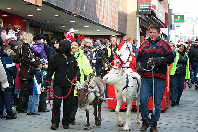 Reindeer Parade