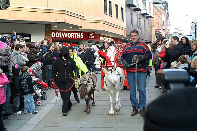 Reindeer Parade