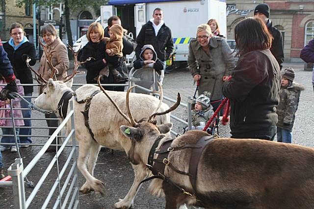 Reindeer Parade