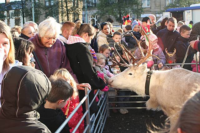 Reindeer Parade