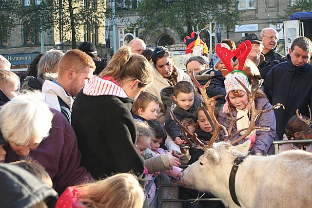 Reindeer Parade