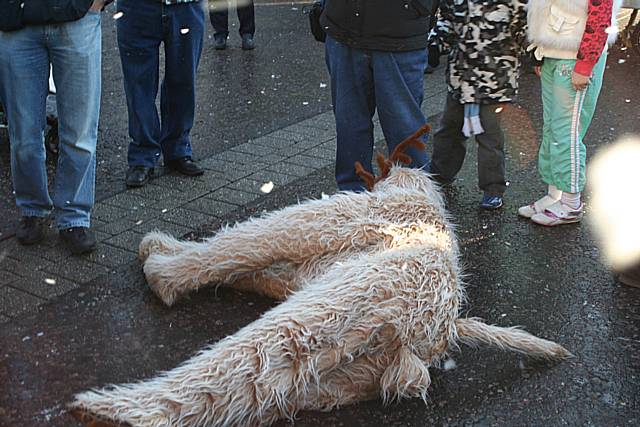 Reindeer Parade