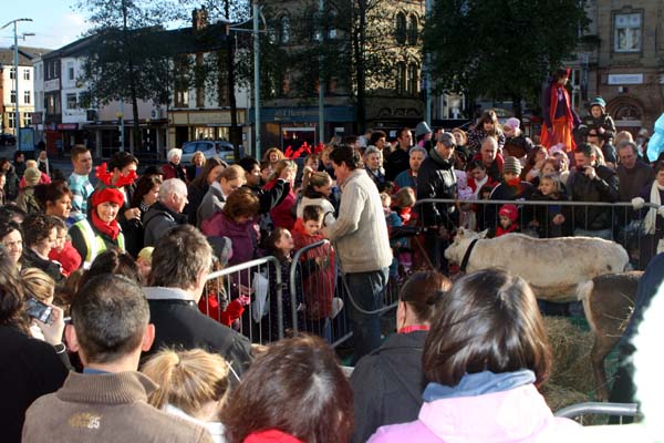 Crowds gather to feed the reindeer