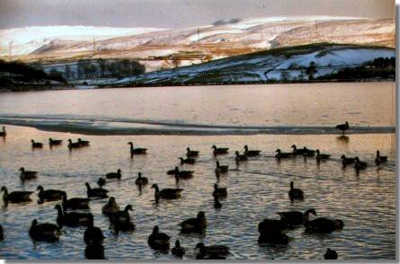 Hollingworth Lake