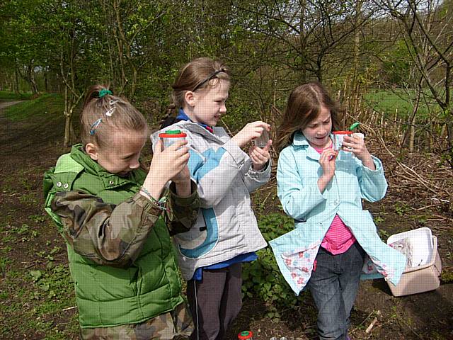 Members of the Young Explorers Club examining insects they have found on a bug hunt.