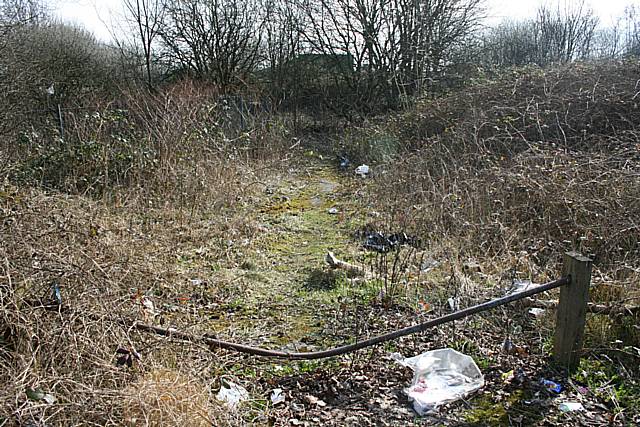 Taylor Street: The land here is blighted by rubbish and fly tipping. Offenders will clean it up, cut back greenery and clear the land. 