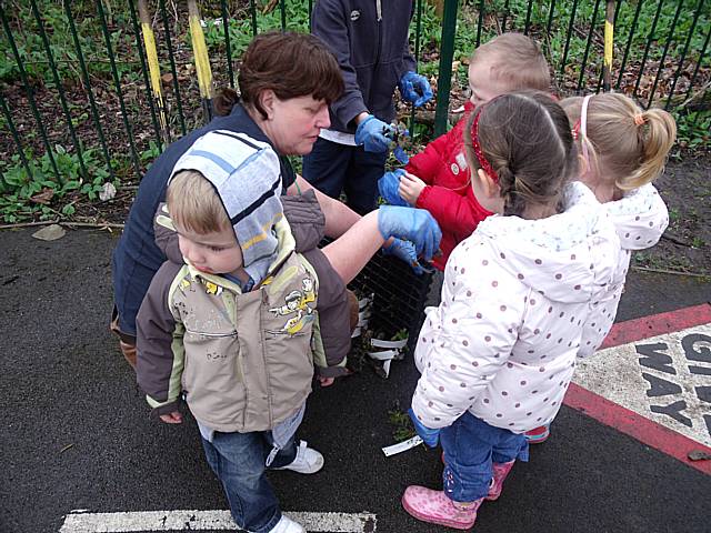 Youngsters at Hollin Children’s Centre plant their insect homes.