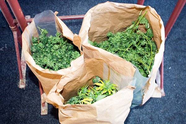 Three sacks full of cannabis found during a raid in Castleton earlier this month