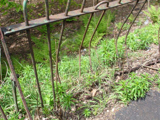 Angry: Labour Leader, Councillor Colin Lambert, discovered the dangerous drop near St Michael's School