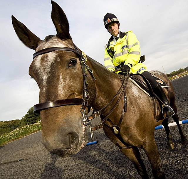 Snodgrass was a well loved police horse who has been to some historic football matches