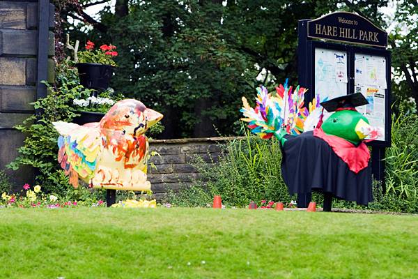 Celebrating Young People in Hare Hill Park