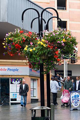 Hanging baskets on Yorkshire Street