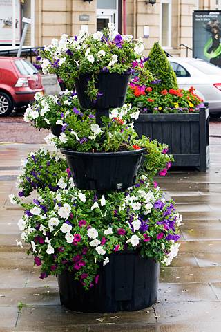 Planters on South Parade