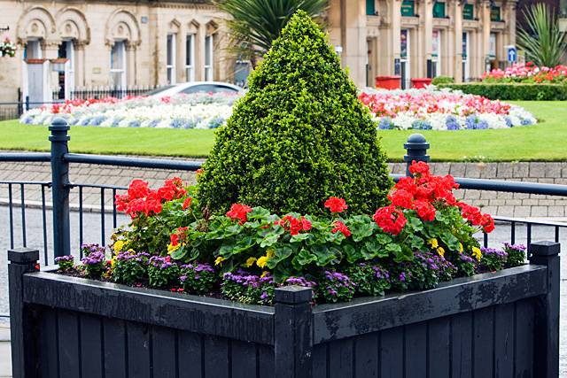 Planter on South Parade