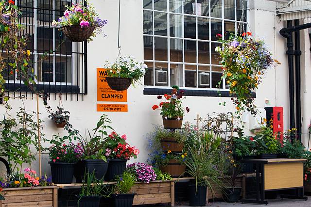 Flower display in the courtyard behind the old post office sorting office