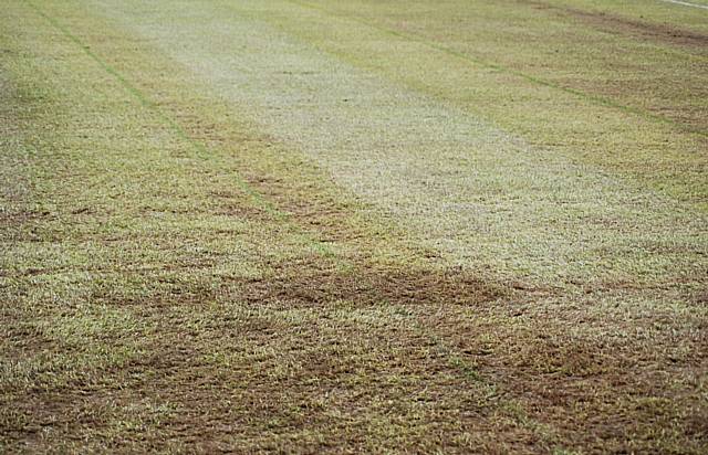 The Don Valley pitch has been the subject of hot discussion since Sunday's game.