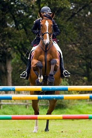 Rochdale & District Riding Club