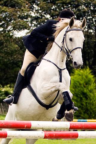 Rochdale & District Riding Club