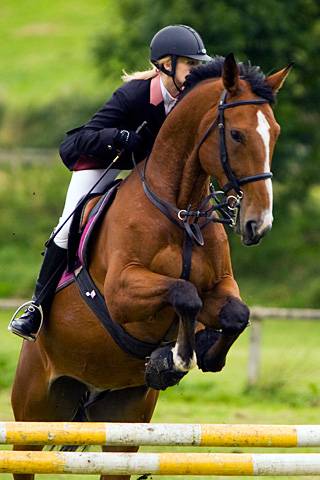 Rochdale & District Riding Club