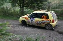 Cruttenden and Griffin in action on the Woodpecker rally.