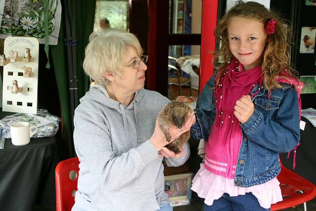 An interested child stroking Bertha the hedgehog with Sue Lewis