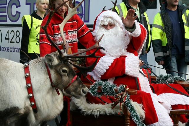 zgallery christmas reindeer