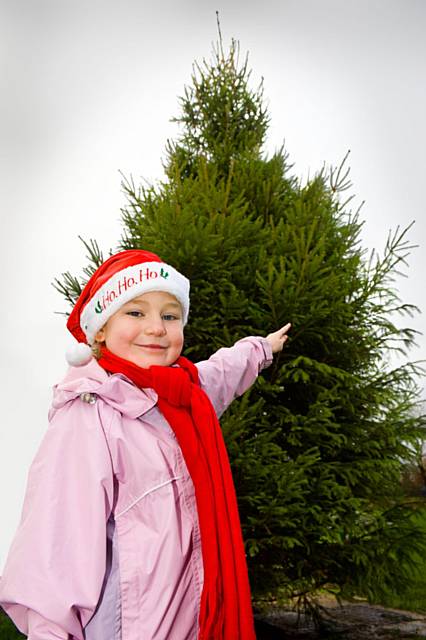 Rochdale Council is encouraging residents to recycle their Christmas trees.