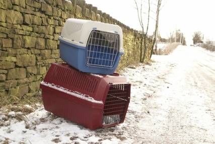 The two cat carriers on the road leading to Bleakholt