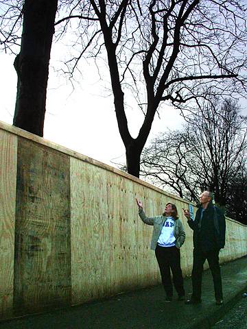 Residents point out the eight foot board fencing recently erected enclosing the line of trees on Bridgefold Road