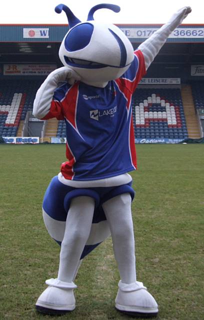 Hercules the Hornet - Hornets Rugby League Mascot